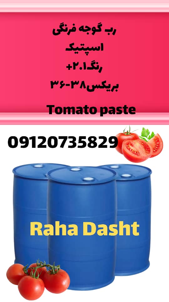 با کیفیت ترین رب اسپتیک صادراتی