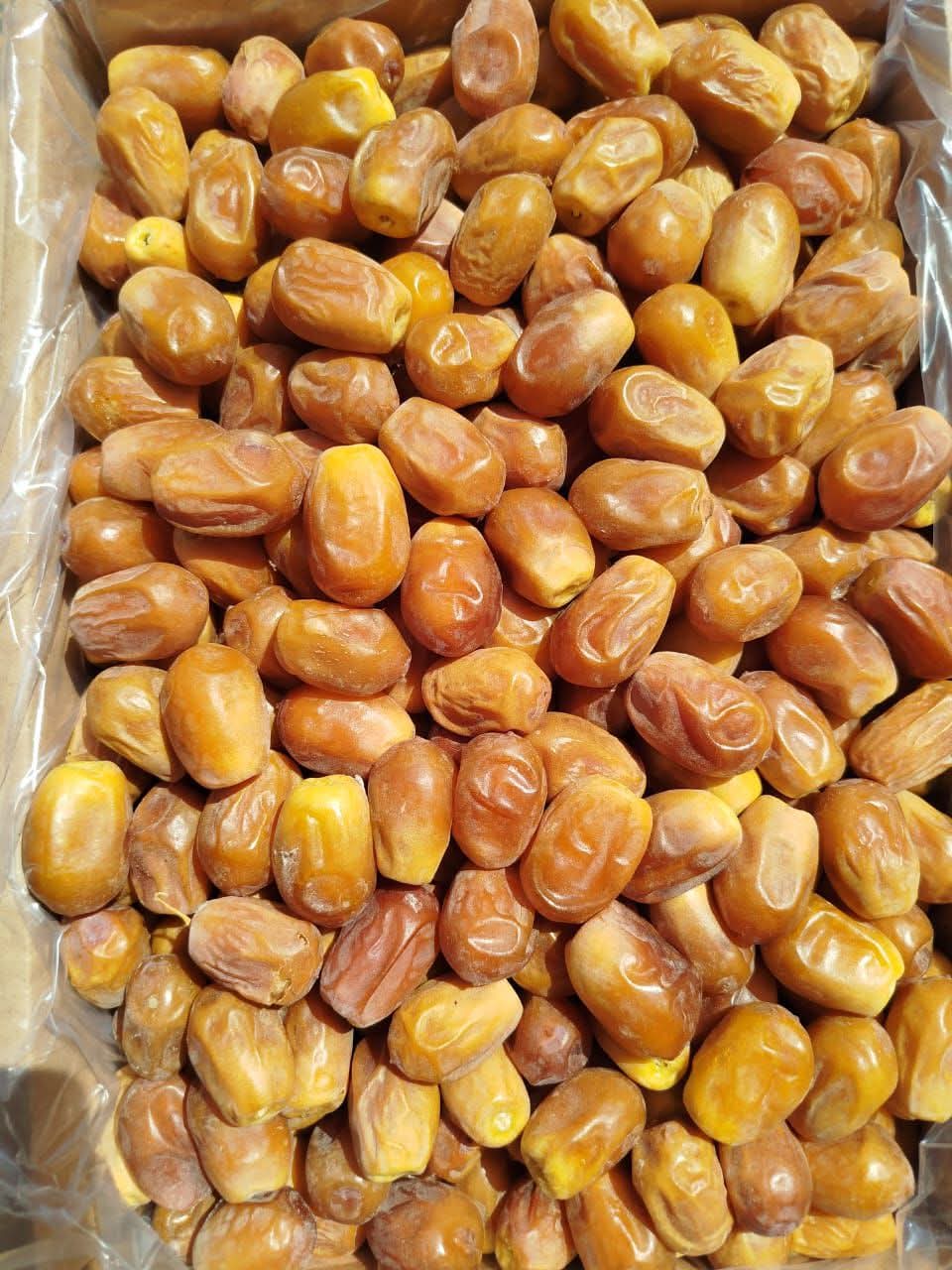 قیمت خرید انواع خرما زاهدی تازه برداشت عمده