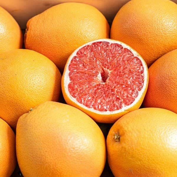 قیمت گریپ فروت زرد با کیفیت ارزان + خرید عمده