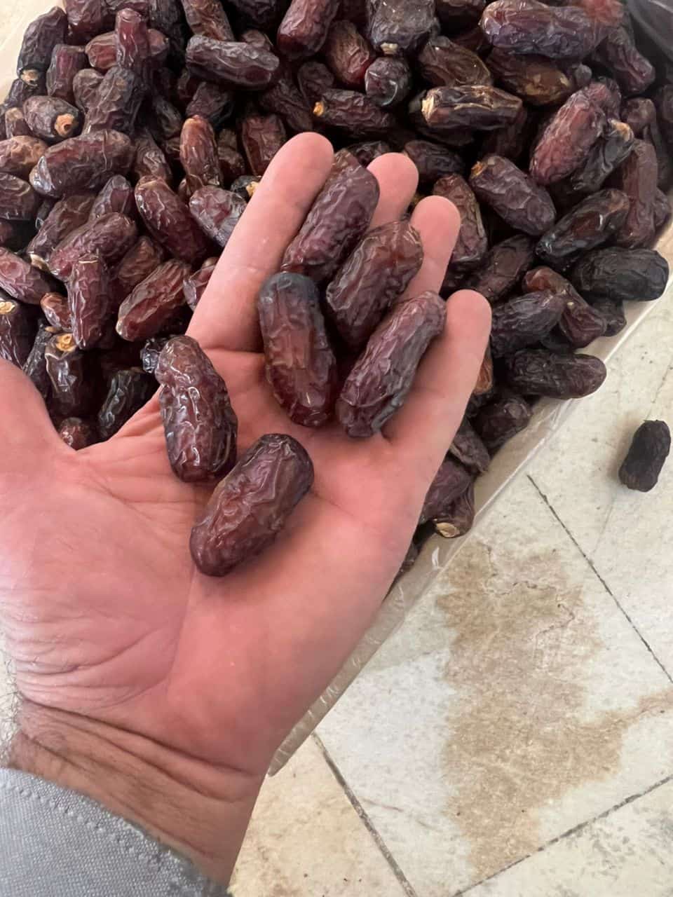 قیمت خرما پیارم صادراتی + فروش عمده