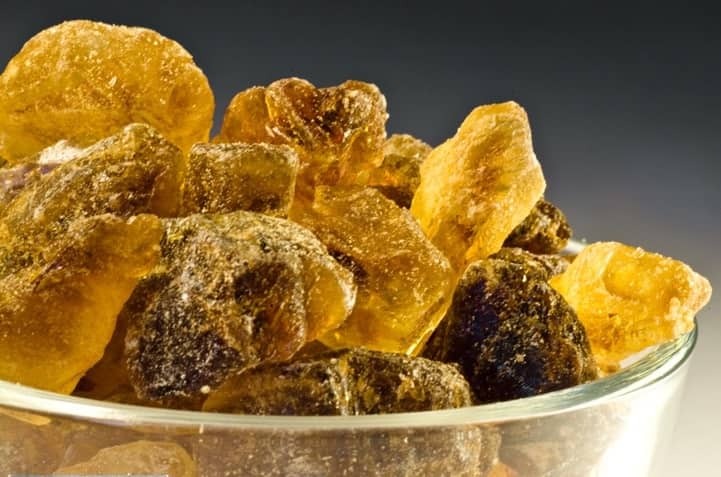 قیمت نبات زنجبیلی + خرید باور نکردنی