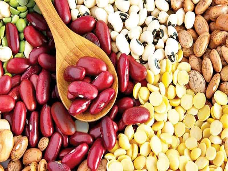 خرید و قیمت لوبیا + فروش عمده