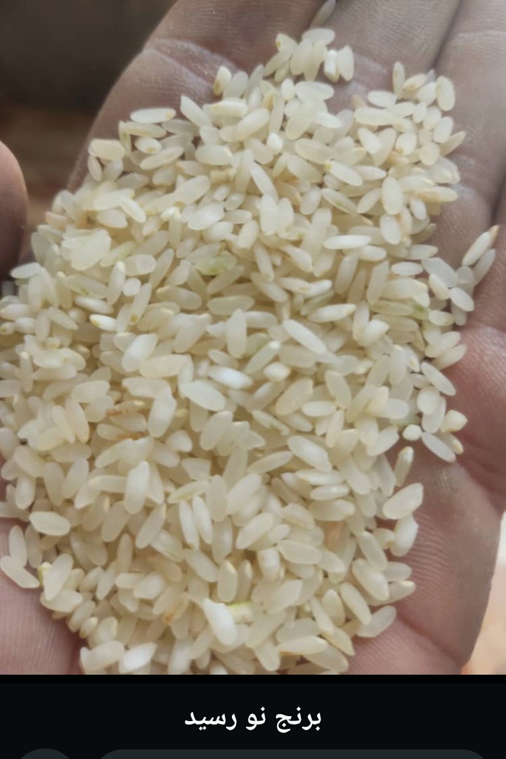 برنج کامفیروزی درجه یک اعلا