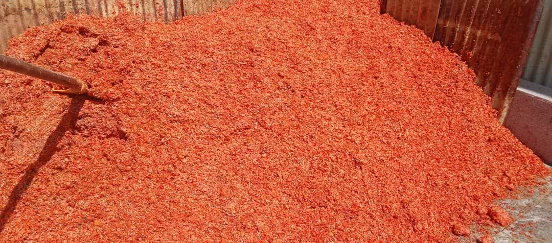 قیمت تفاله گوجه برای بره پروار