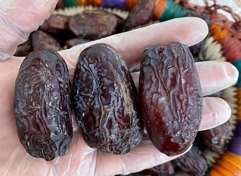 قیمت خرید خرما مجول با فروش عمده