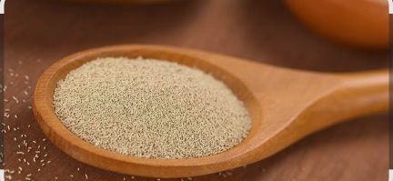 خرید و فروش خمیر مایه تازه + خرید عمده
