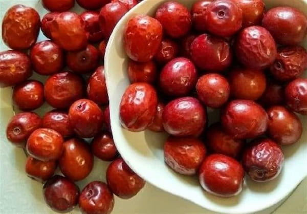 تصویر 4 از فروش عناب اوکراینی+فروش عمده