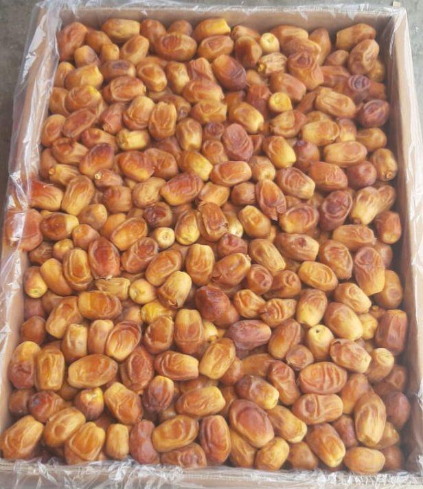 خرماي زاهدي صادراتي ايران
