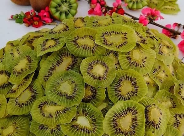 خرید و قیمت کیوی خشک + فروش عمده