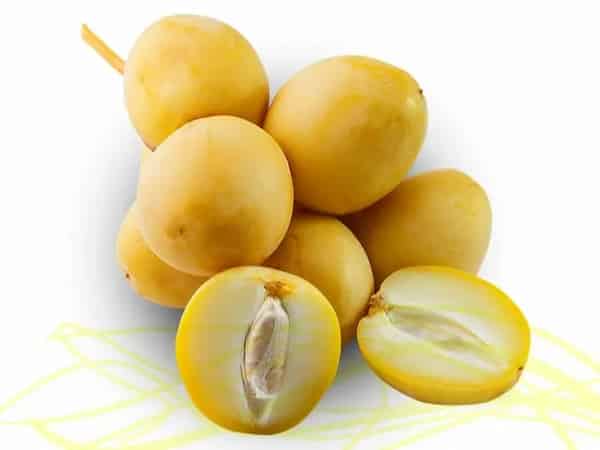 تصویر 3 از خرید و قیمت خرما برحی + فروش عمده