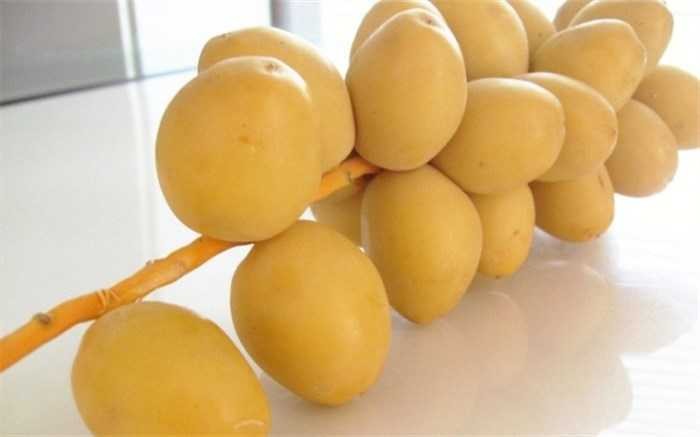 تصویر 2 از خرید و قیمت خرما برحی + فروش عمده