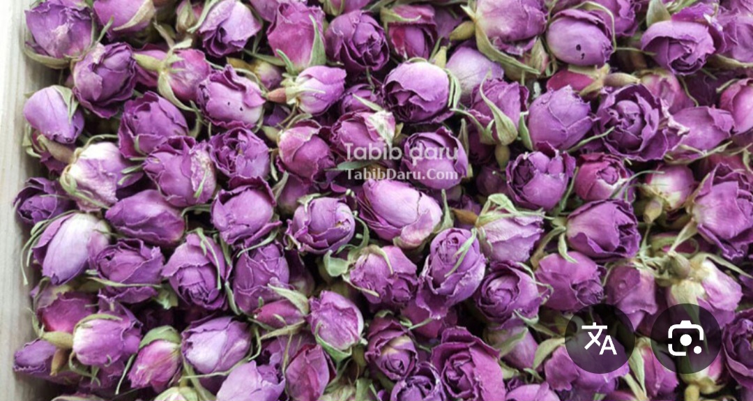 قیمت غنچه گل محمدی تازه کاشان