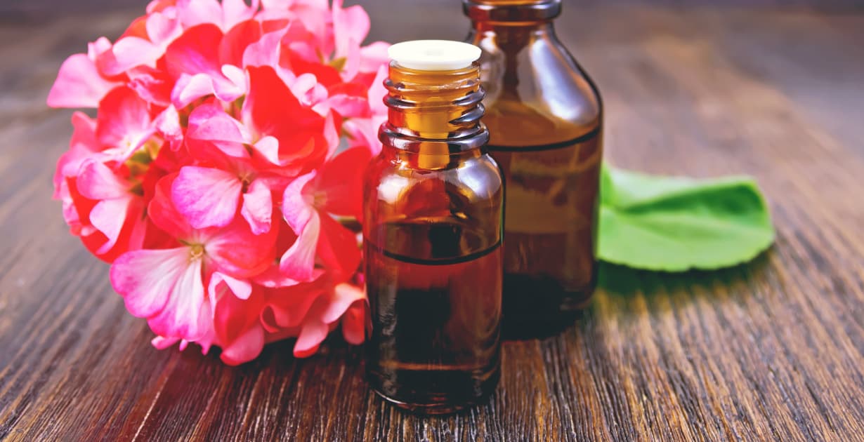 فروش عمده اسانس ژرانیوم (شمعدانی) طبیعی گرید A