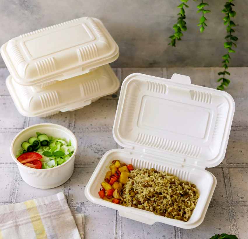 سفارش آنلاین ظروف یکبار مصرف گیاهی + قیمت رقابتی
