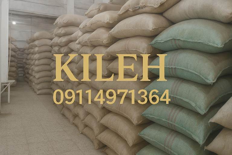 فروش عمده برنج شیرودی + خرید