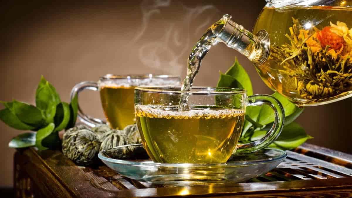 قیمت و خرید چای سبز و فروش صادراتی