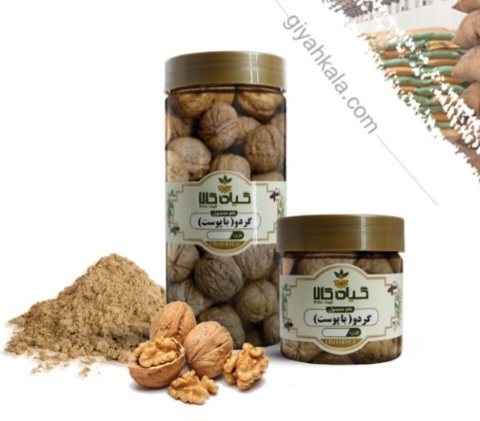 گردو خشک یا پودری بسته بندی + خرید