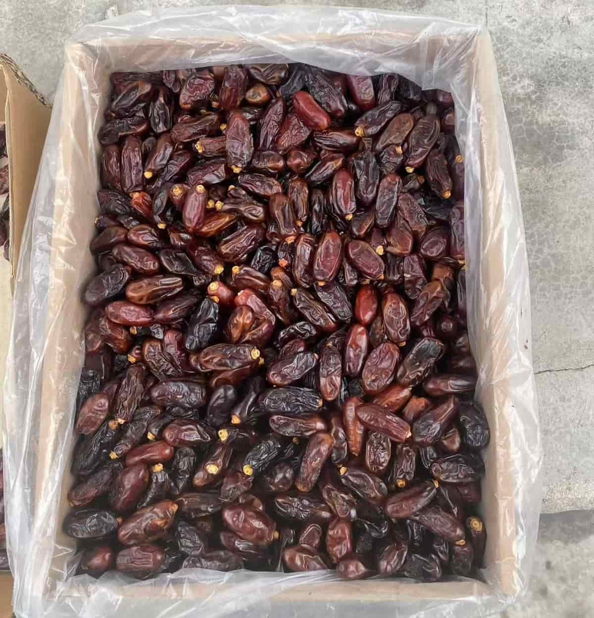 قیمت خرما ربی صادراتی + کیفیت درجه یک