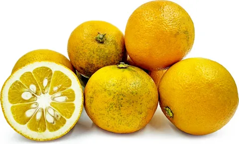 قیمت نارنج با کیفیت ارزان + خرید عمده