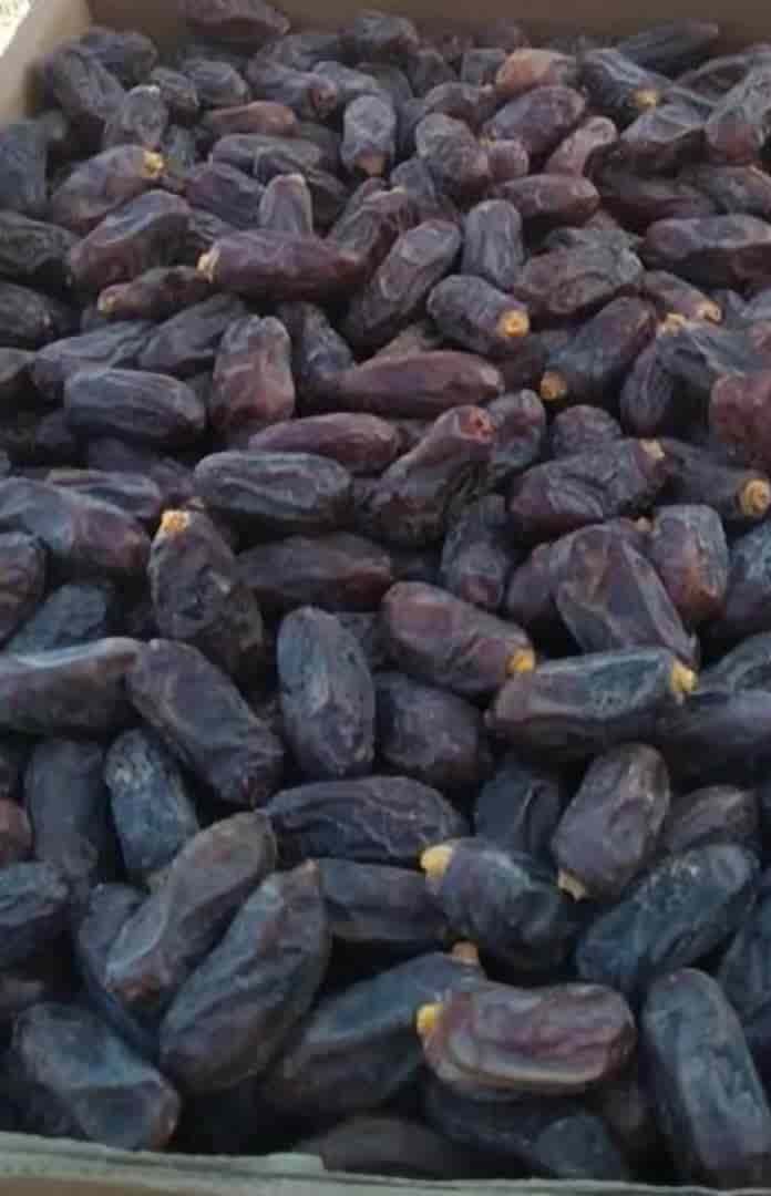 تصویر 2 از فروش خرما ربی و قیمت به صرفه