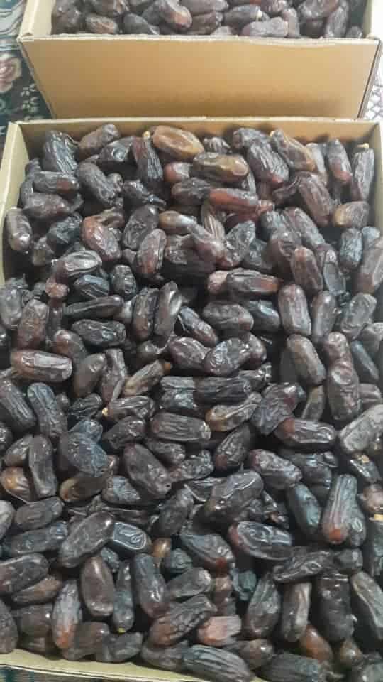 تصویر 4 از فروش خرما ربی و قیمت به صرفه