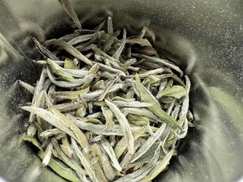 تصویر 2 از قیمت خرید چای سفید و فروش ویژه