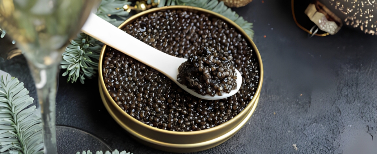 خاویار بلوگا و خواص درمانی
