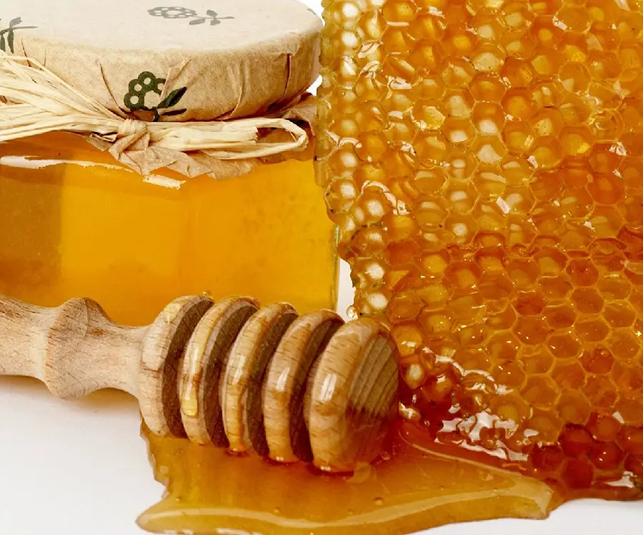 عسل طبیعی با تغذیه کامل زنبور از گل و گیاه