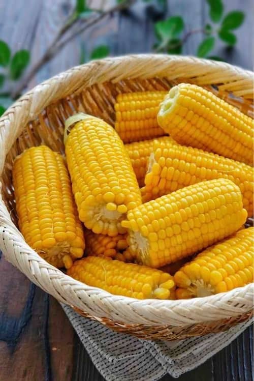 خرید و فروش ذرت منجمد تازه + خرید استثنایی