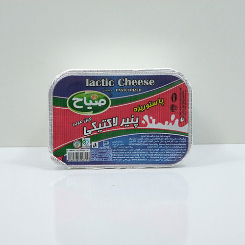 خرید پنیر لاکتیکی صباح + قیمت فروش استثنایی