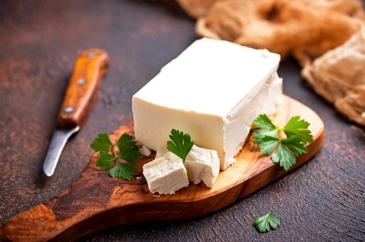 قیمت خرید پنیر لاکتیکی صباح + فروش ویژه