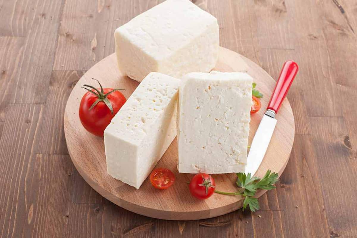 قیمت خرید پنیر لاکتیکی با فروش عمده