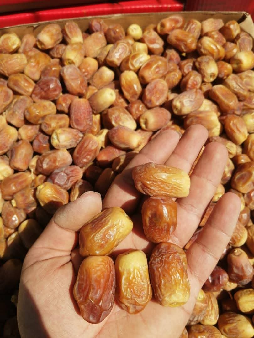 خرید انواع خرما زاهدی قصب بهترین کیفیت صادراتی