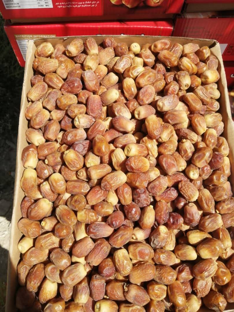 تصویر 4 از خرید انواع خرما زاهدی قصب بهترین کیفیت صادراتی