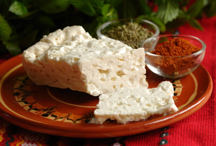قیمت پنیر بلغاری با کیفیت ارزان + خرید عمده