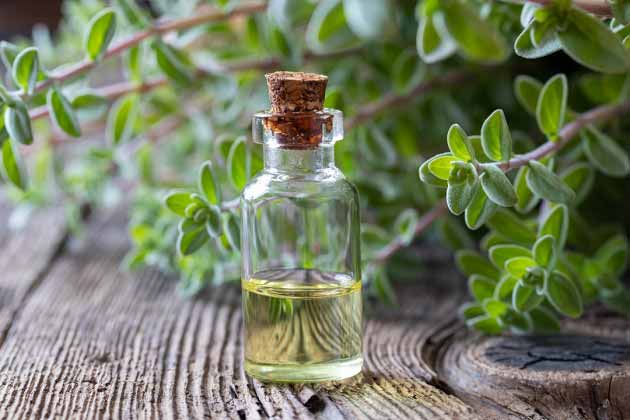فروش عمده اسانس مرزنجوش طبیعی گرید A
