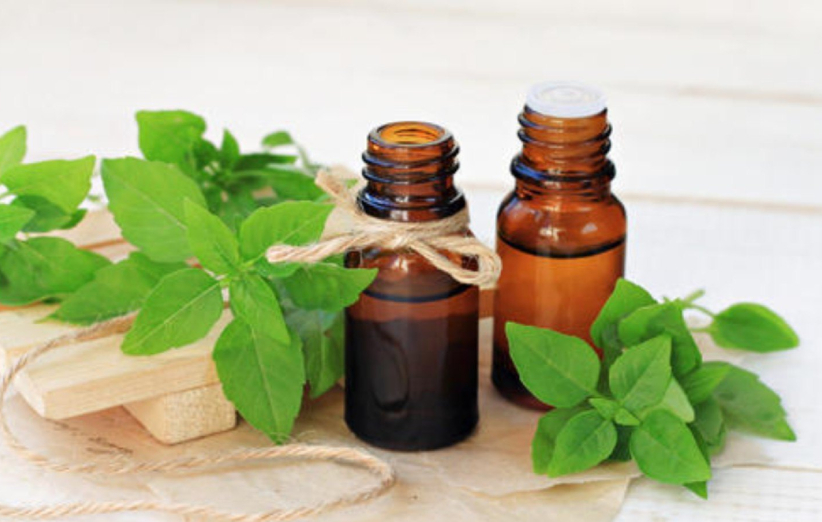 فروش عمده اسانس باریجه طبیعی گرید A