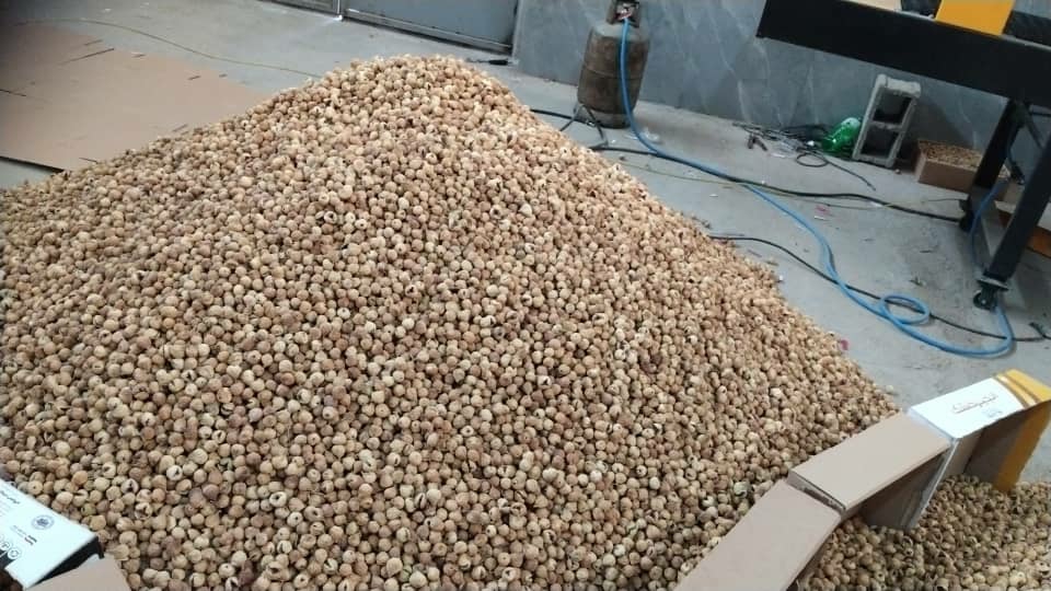 پخش عمده انواع انجیر درشت استهبان با بالاترین کیفیت