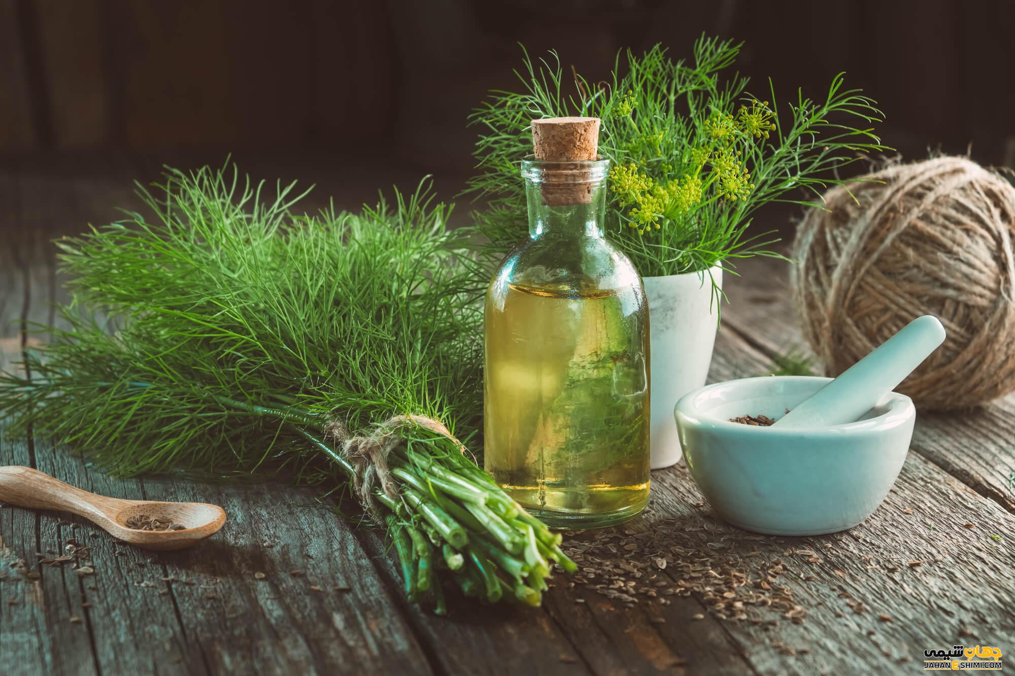 فروش عمده اسانس شوید طبیعی گرید A