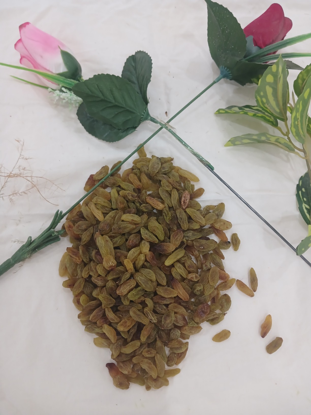 قیمت روزانه کشمش سبز کاشمر