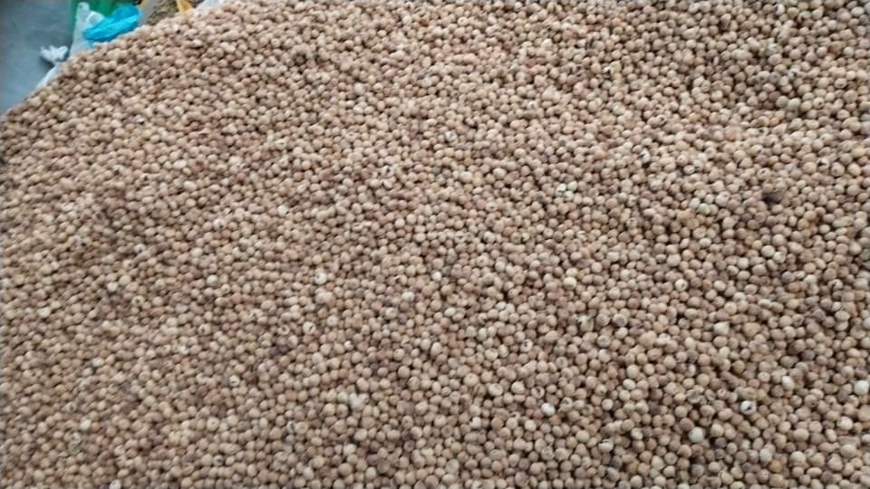 فروش ویژه انجیر خشک ضایعاتی درجه یک با کیفیت و ارزان