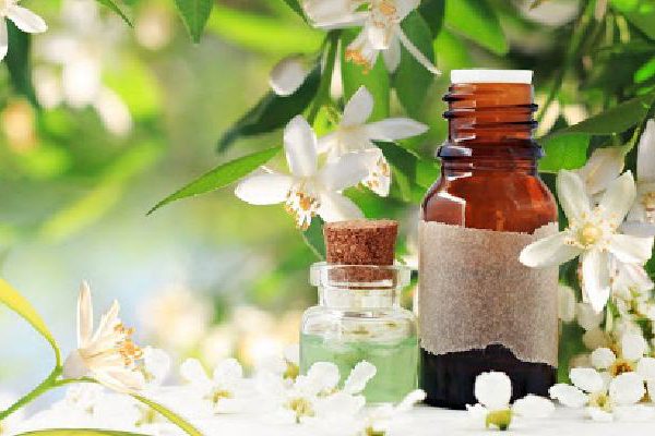 فروش عمده اسانس بهار مرکبات طبیعی گرید A