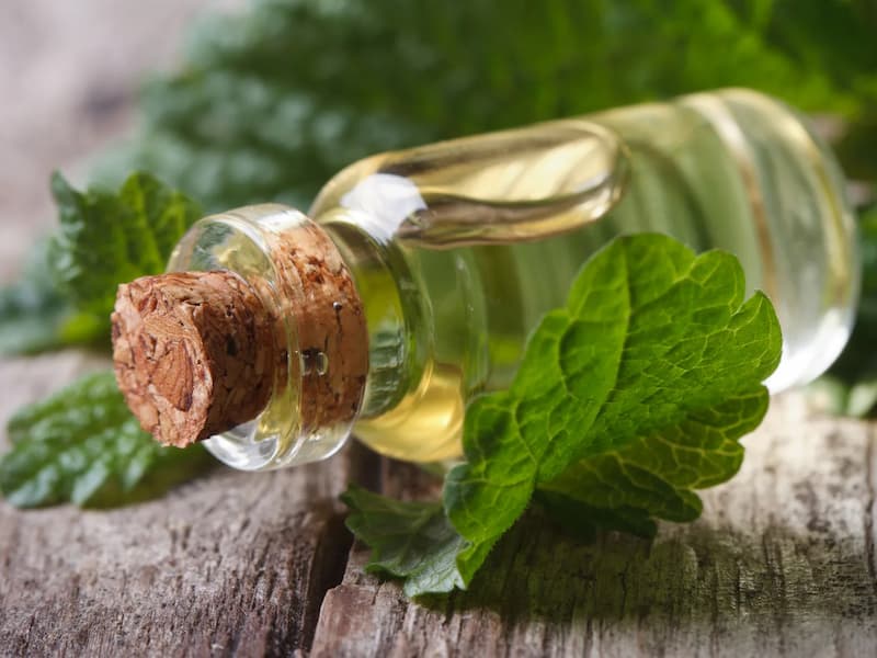 فروش عمده اسانس درمنه طبیعی گرید A