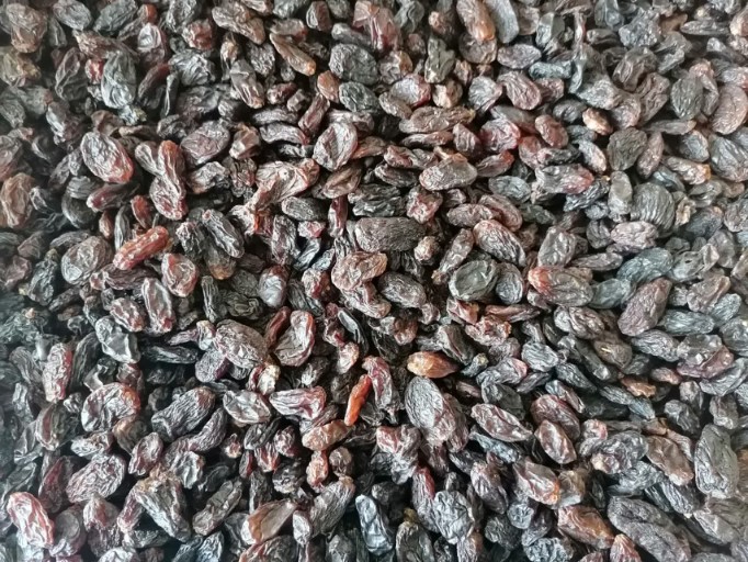فروش ویژه مویز افغانی + قيمت رقابتی