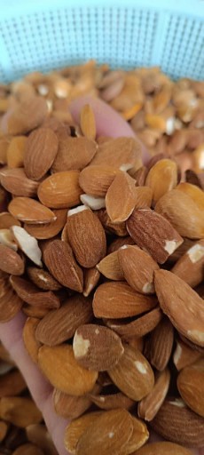 فروش مغز بادام درختی فوق‌ العاده