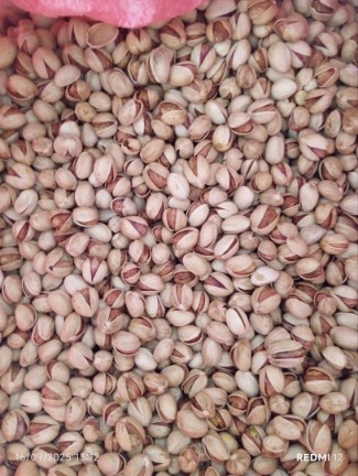 خرید آسان پسته فندوقی + فروش عمده
