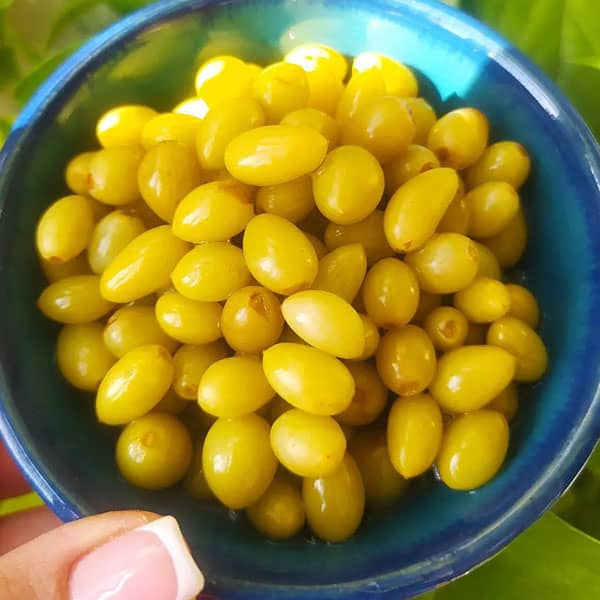 خرید و قیمت ترشی غوره با آب نمک + فروش عمده