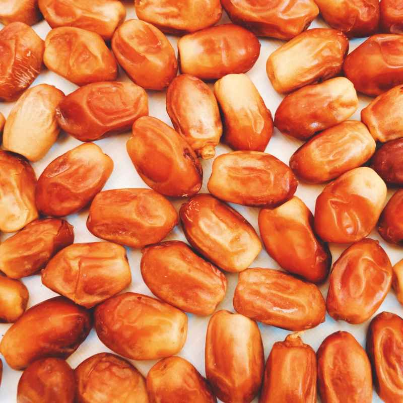 خرید و قیمت خرما خشک زاهدی + فروش عمده