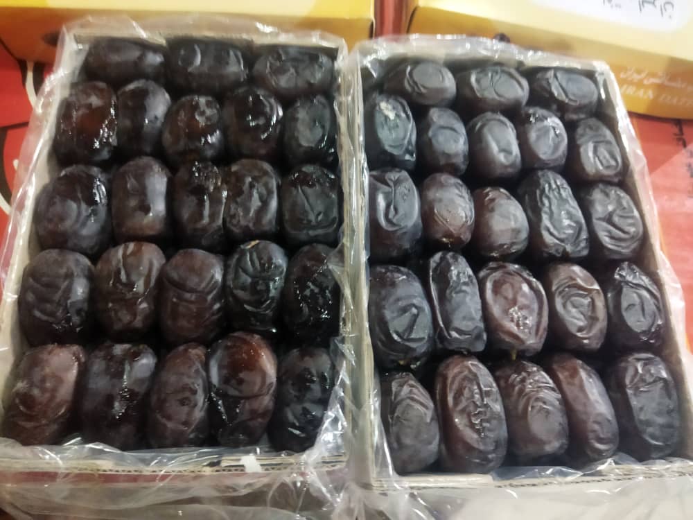 قیمت روز خرمای مضافتی نخلستان های بم + خرید عالی