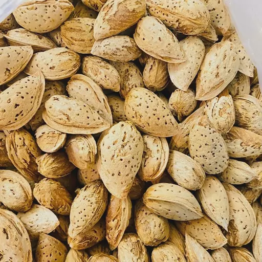 خرید امن بادام دو پوست